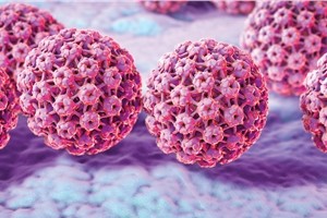 HPV-GENİTALSİĞİ-VİRÜSÜ Genital Siğil