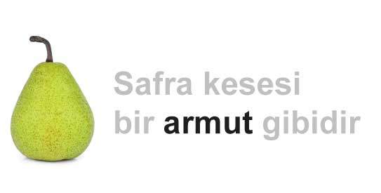 Safra Kesesi nedir? Safra kesesi armut gibidir